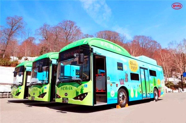pure electric bus