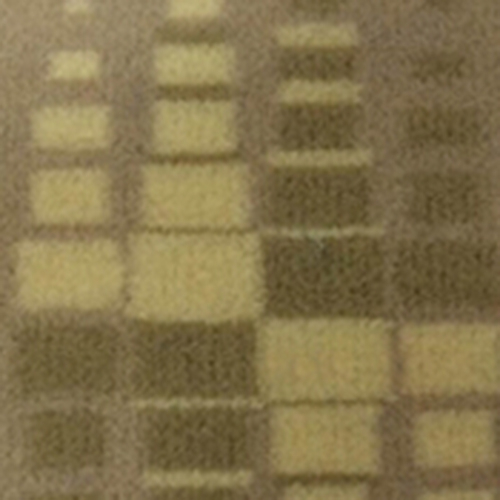 HC-B-17057 BUS SEAT FABRIC